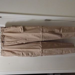 National Geographic Travel Collection Sz L Cargo Pants/Shorts with zip off legs.